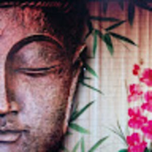 Meet your Posher, Bruce